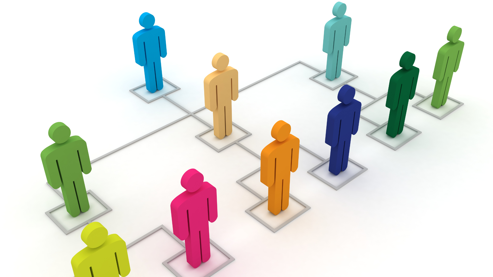 Organisational Chart